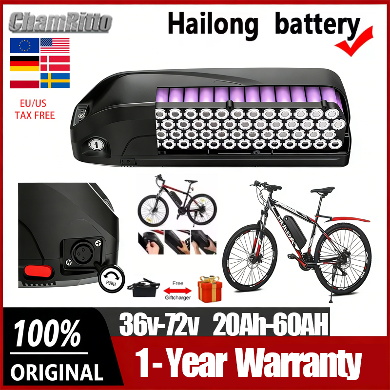 36V 48v 52v Electric Bicycle H - Ebike Battery 48V 20Ah Hailong recension och pris